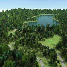 Forest Park Pond Trees